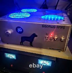 BIG DAWG LINEAR AMP AMPLIFIER 1x4 or 1 or 4 staged Nearly New Base Box Complete