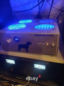 BIG DAWG LINEAR AMP AMPLIFIER 1x4 or 1 or 4 staged Nearly New Base Box Complete