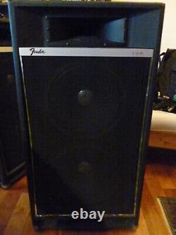 Maine 170W Mixer / PA Head plus 2 2x12 cabs with HF horns (Fender)