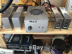 Mule 1x4 Amplifier